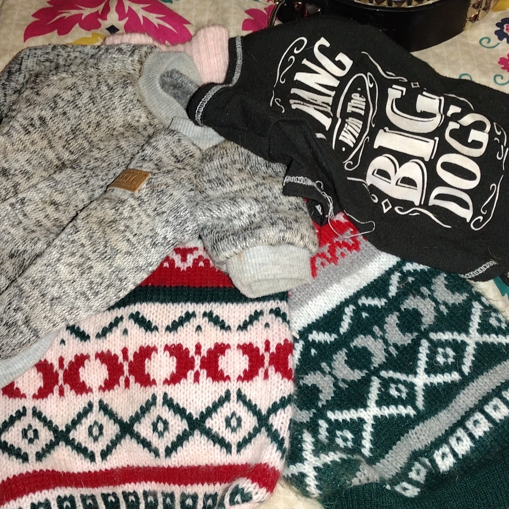 small dog shirts